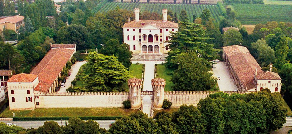 Degustazione in cantina + Sauvignon Colli Orientali del Friuli DOC 2022- Livio Felluga