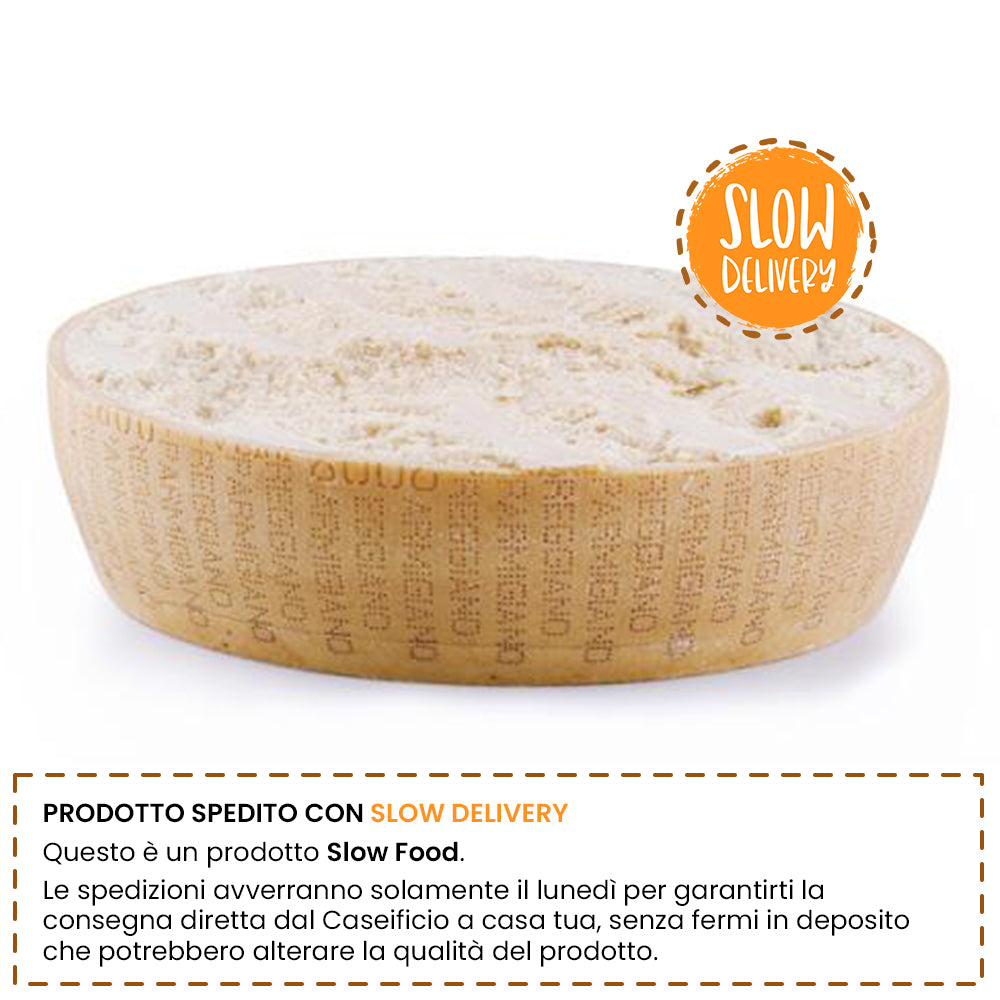 Parmigiano Reggiano 36 mesi – Mezza Forma (19kg)